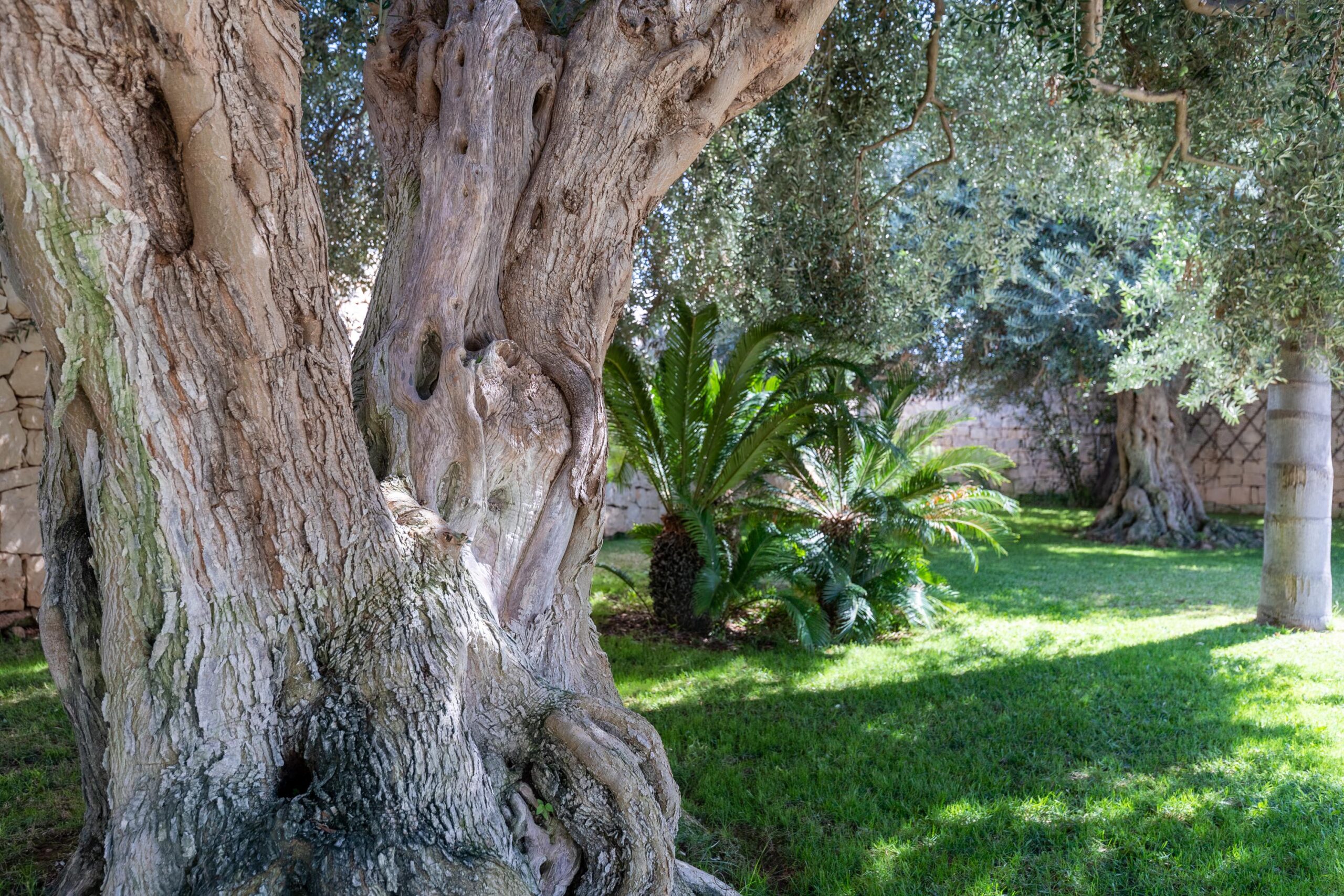 Villa Montalbano