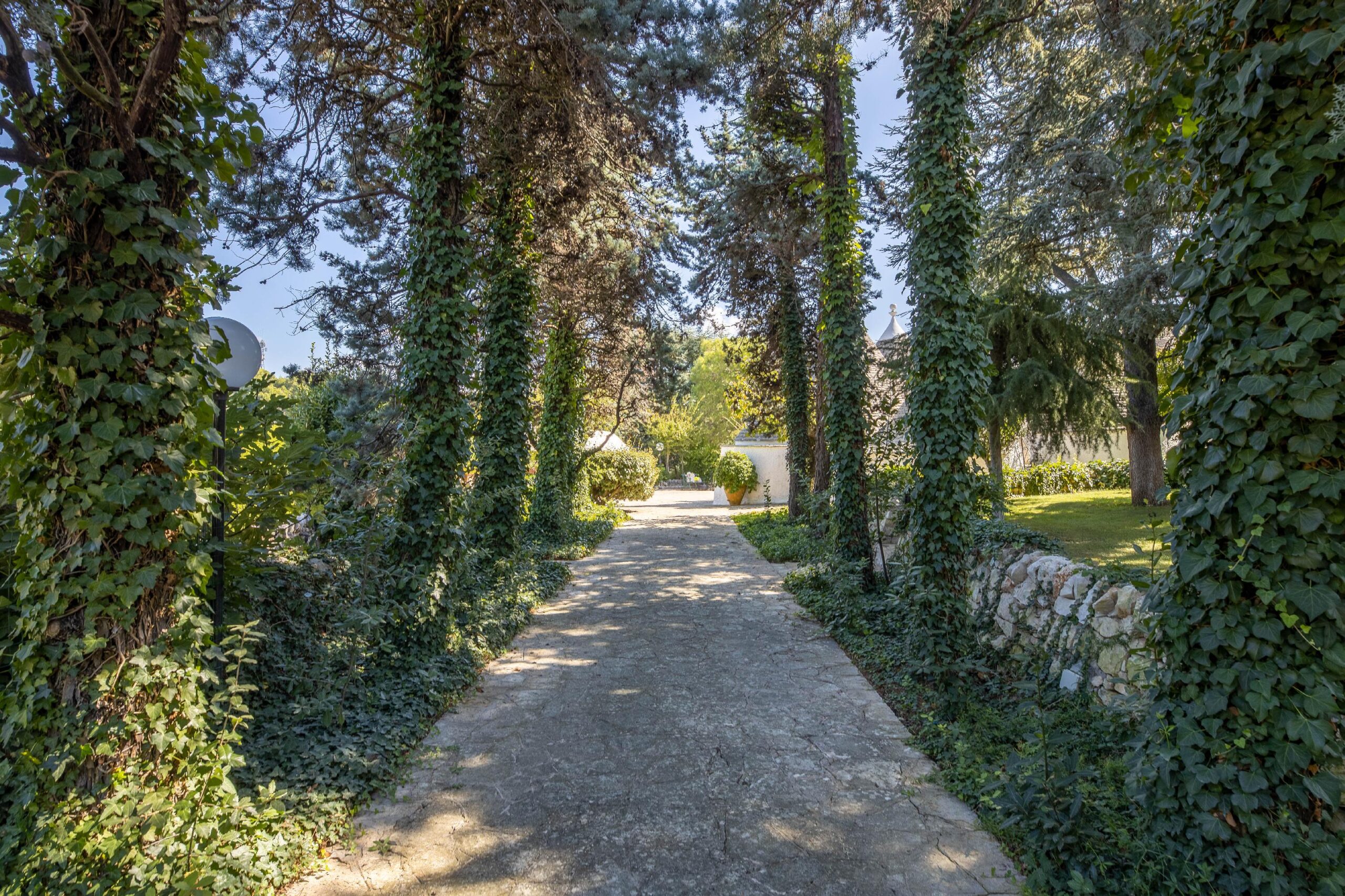 Tenuta Selva Regina