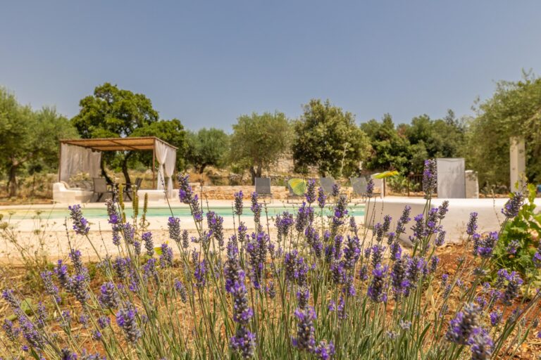Trullo Sophie