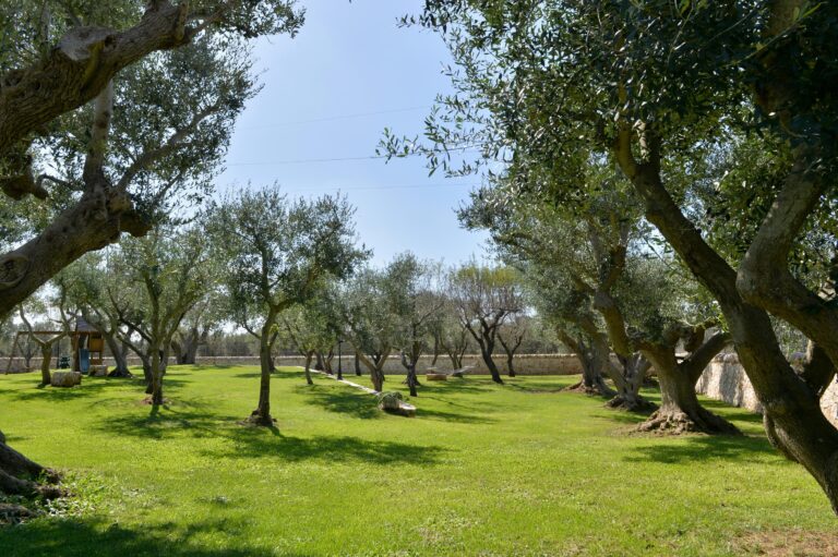 Trullo Splendore Dell'Itria