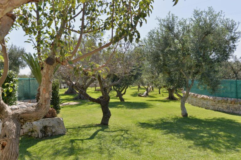Trullo Delizia Dell'Itria