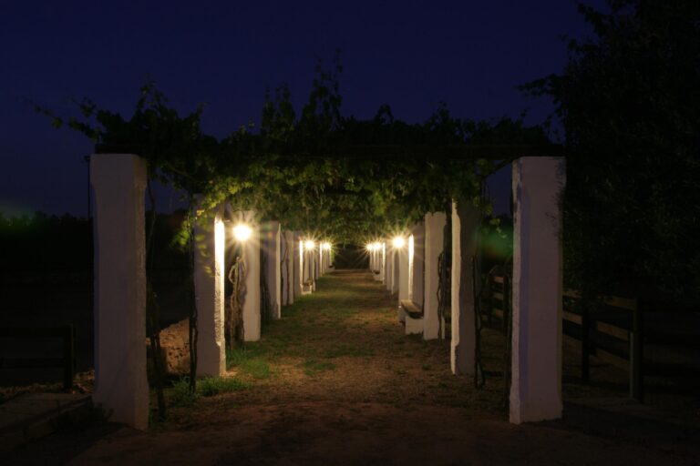 Tia ranch I