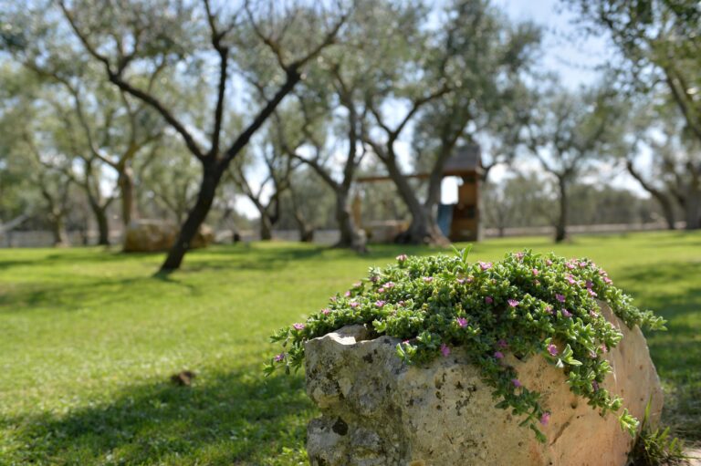 Trullo Sogno Dell'Itria