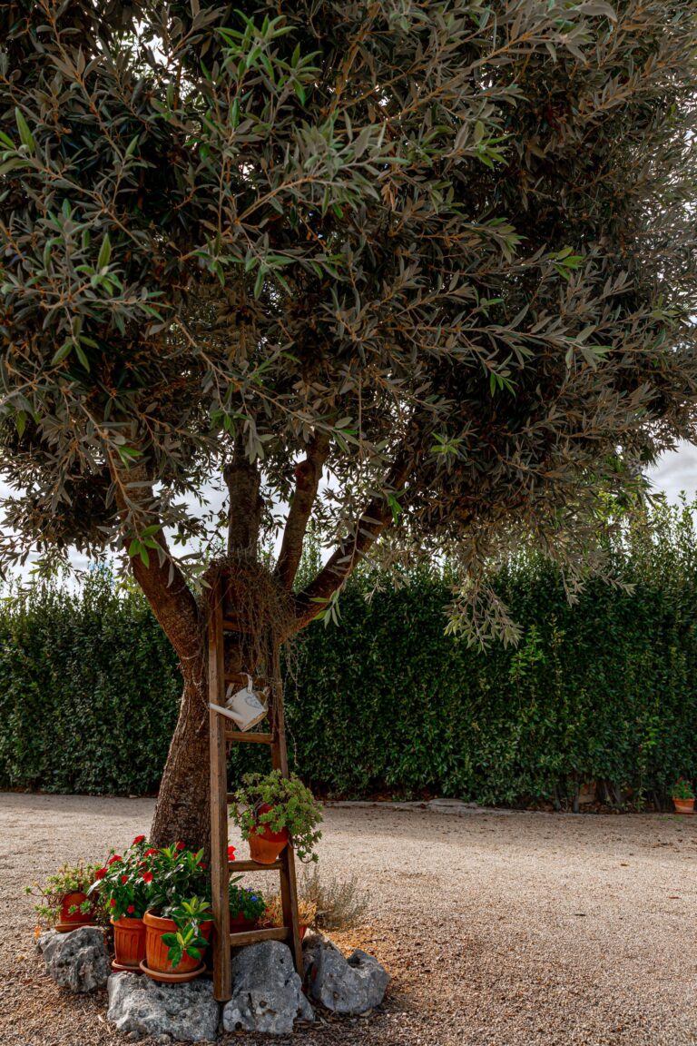 Trullo Sogno Dell'Itria