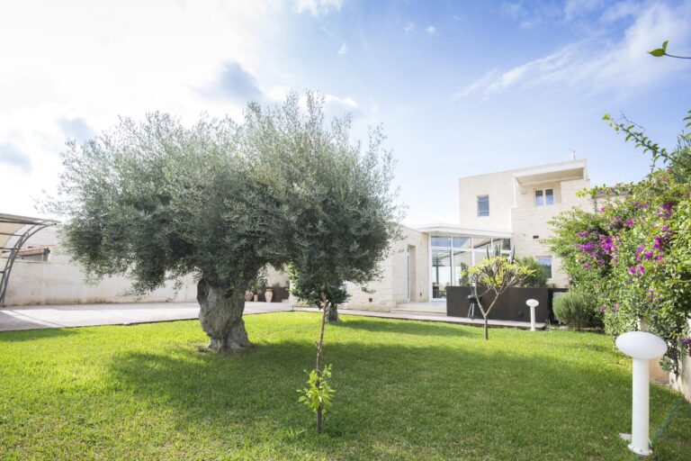 Casale Calypso