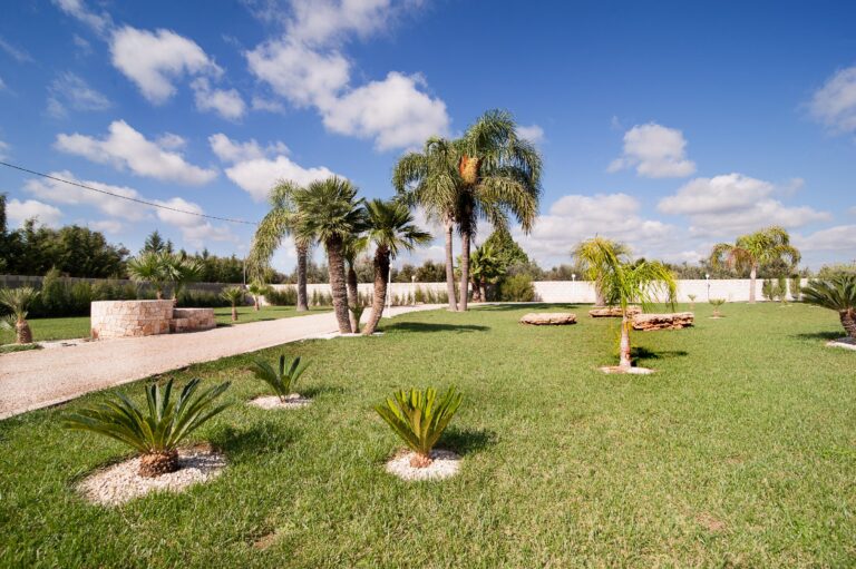 Meadow luxury villa