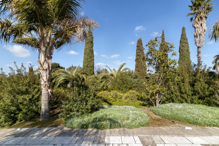 Tenuta Andromeda