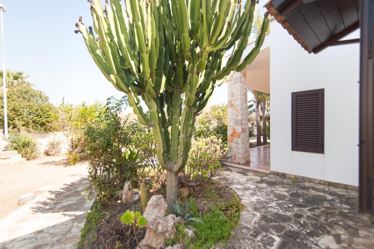 Villa Rose