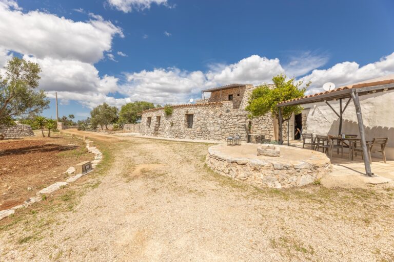 Pajara Mandarino