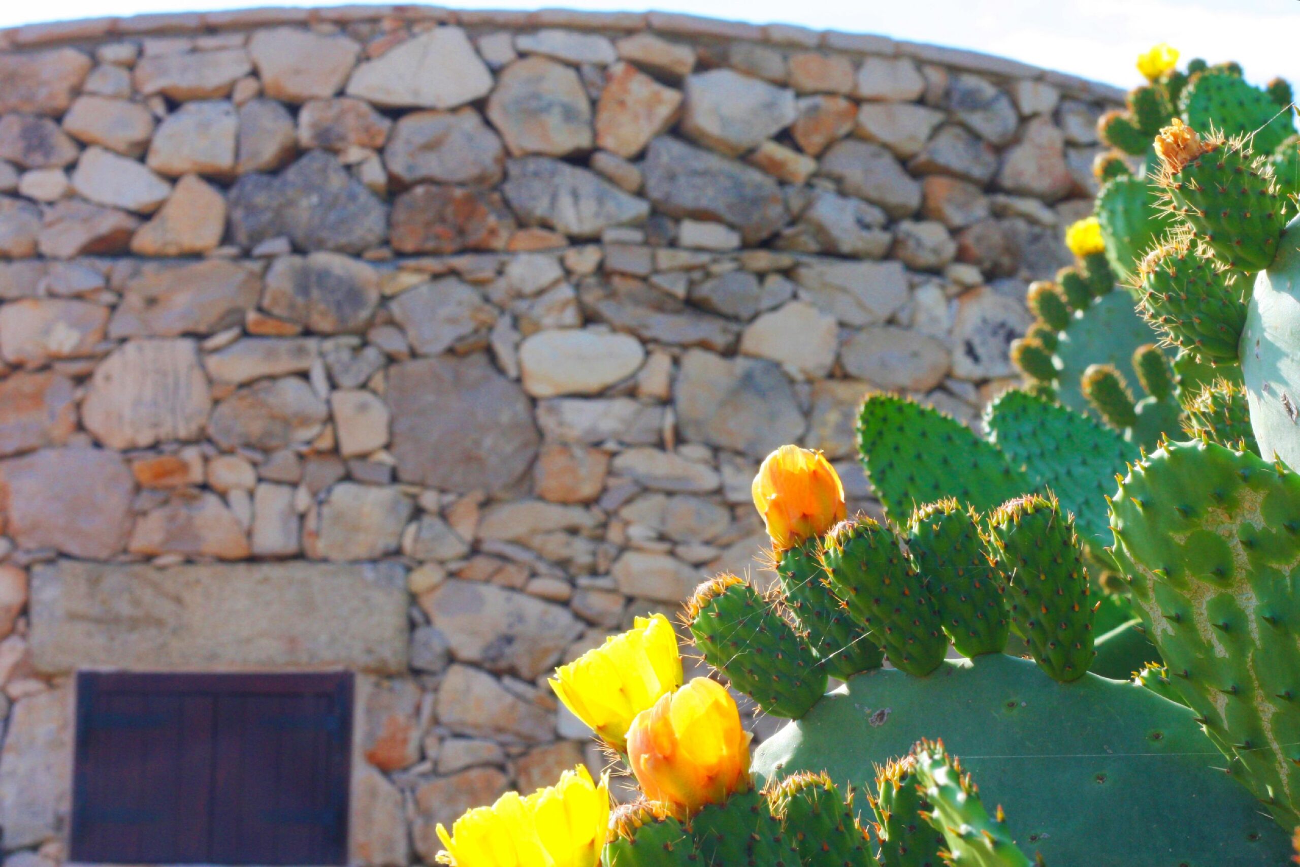 Trullo macchie
