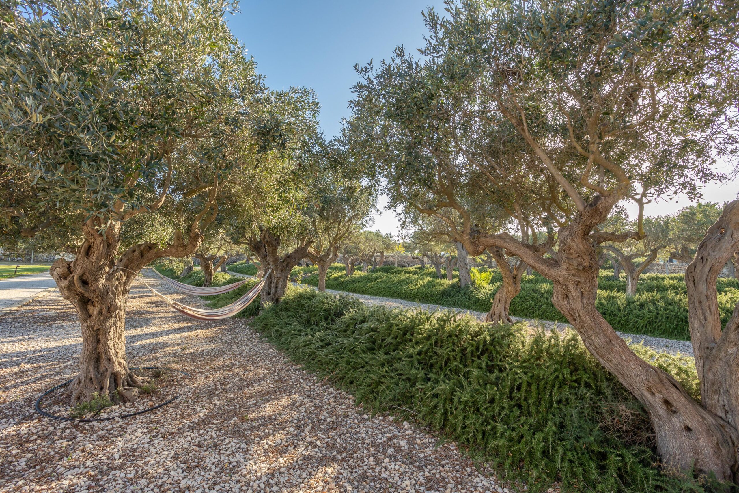 Villa Partenope