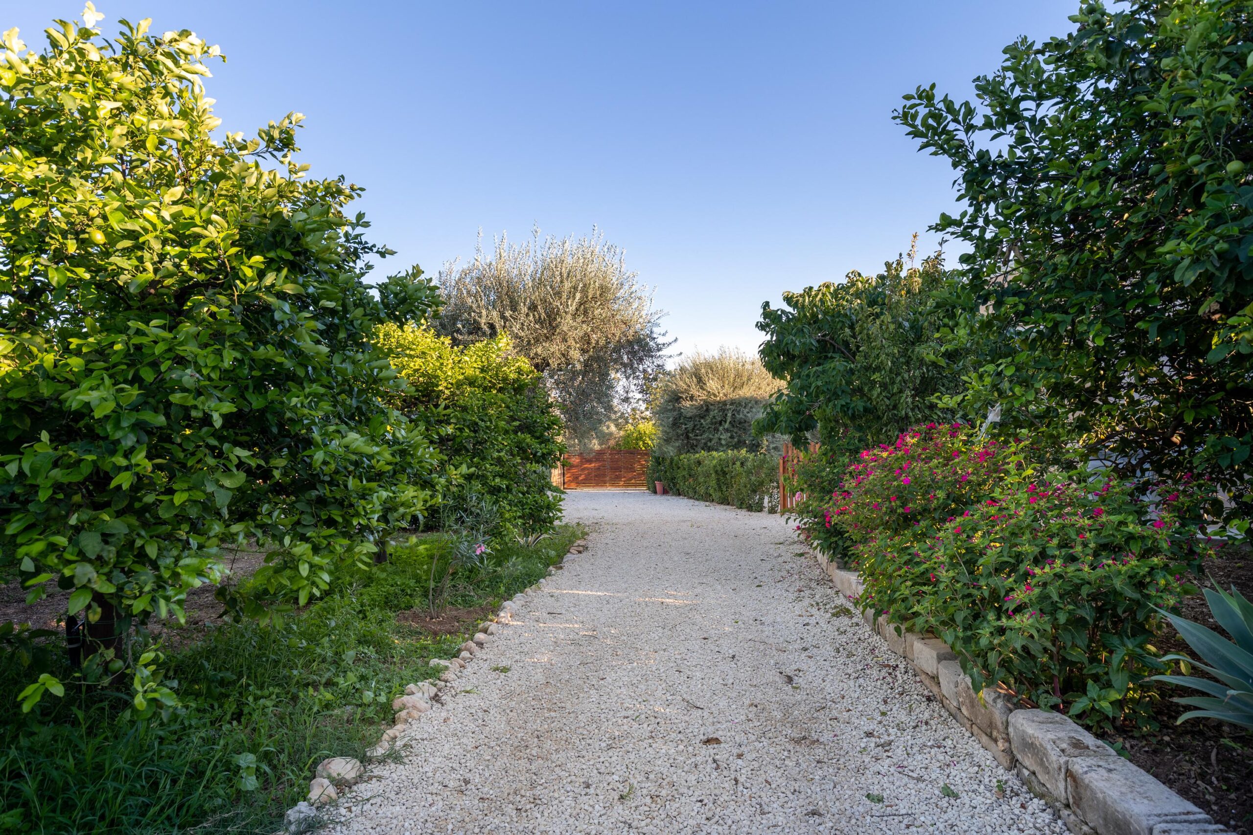 Villa Vanessa