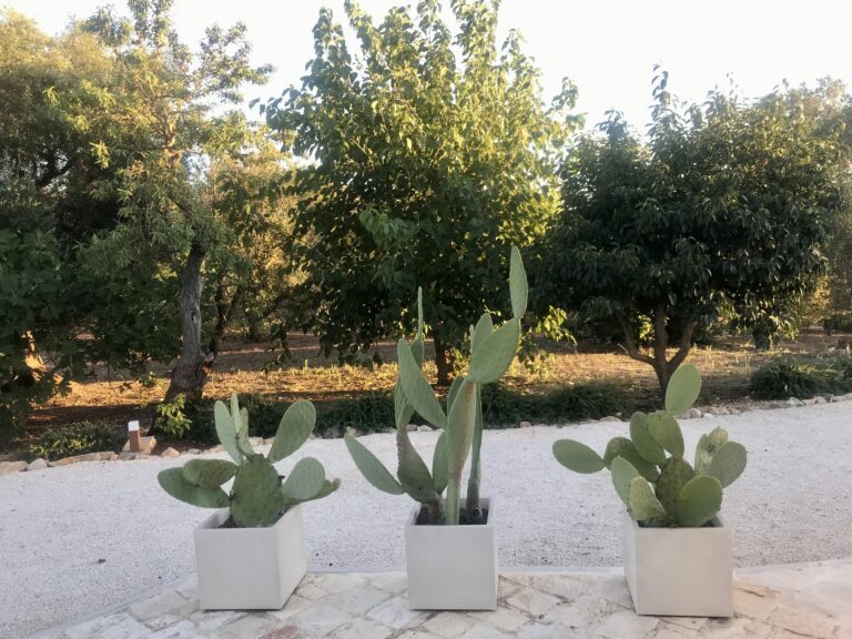 Trulli delle Stelle