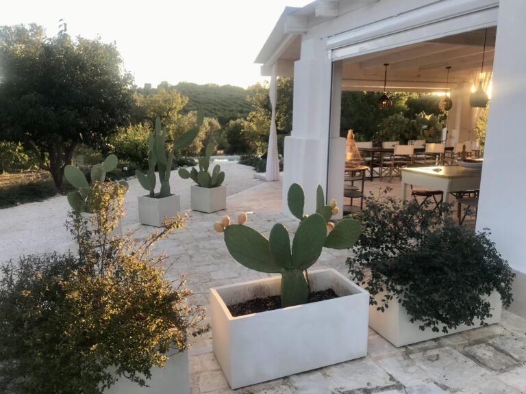 Trulli delle Stelle