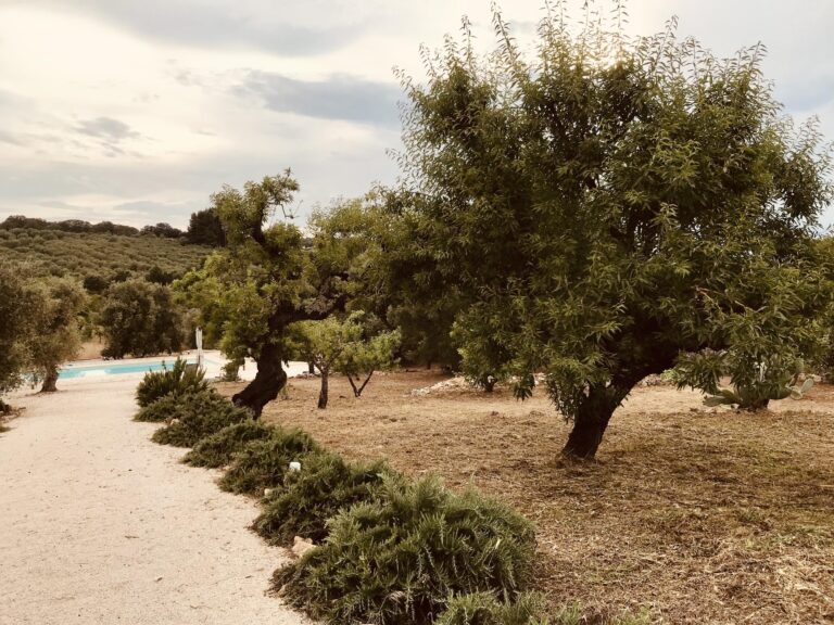 Trulli delle Stelle