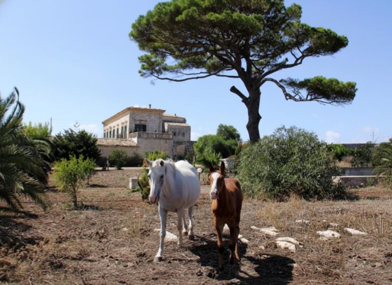 Villa Tempio di Luce